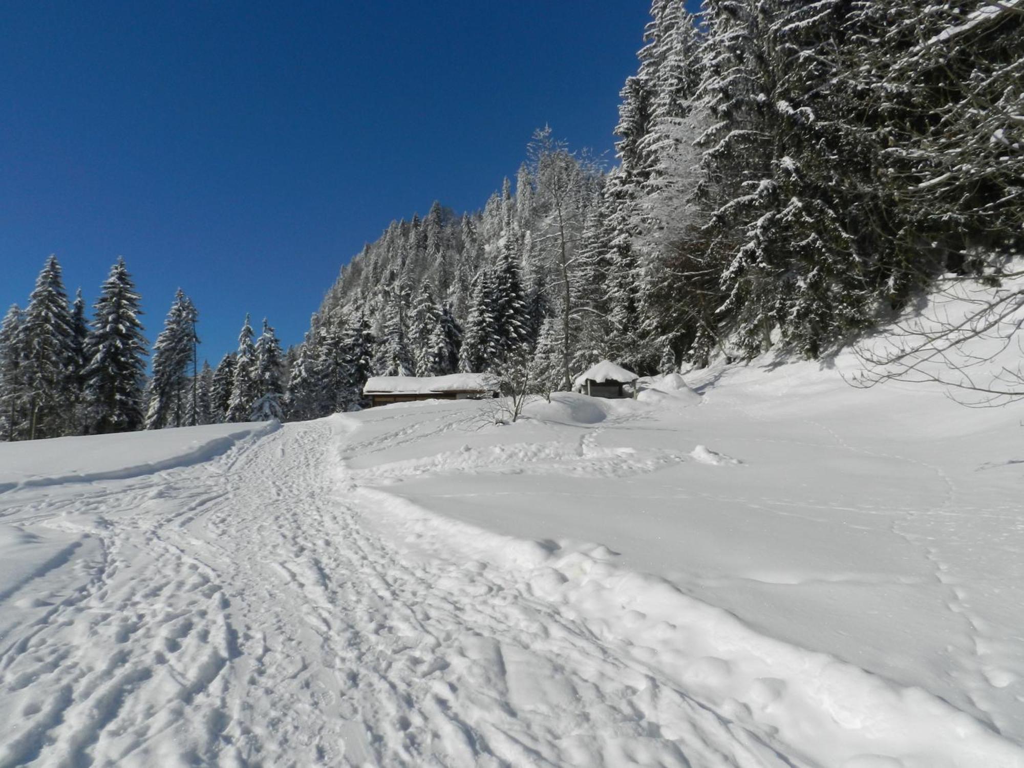 Ferienwohnung Gästehaus zum Bären Wald am Arlberg Exterior foto